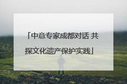 中意专家成都对话 共探文化遗产保护实践
