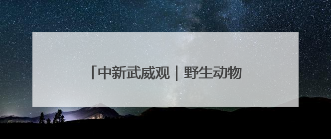 中新武威观｜野生动物频繁“打卡”民勤沙漠