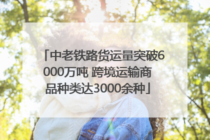 中老铁路货运量突破6000万吨 跨境运输商品种类达3000余种