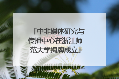 中非媒体研究与传播中心在浙江师范大学揭牌成立