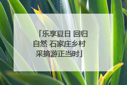 乐享夏日 回归自然 石家庄乡村采摘游正当时