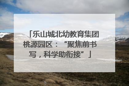 乐山城北幼教育集团桃源园区：“聚焦前书写，科学助衔接”