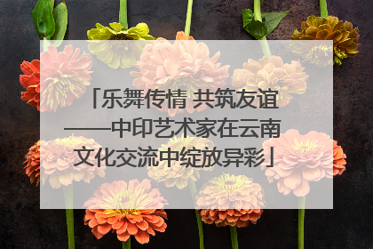 乐舞传情 共筑友谊——中印艺术家在云南文化交流中绽放异彩