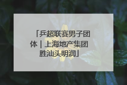 乒超联赛男子团体｜上海地产集团胜汕头明润