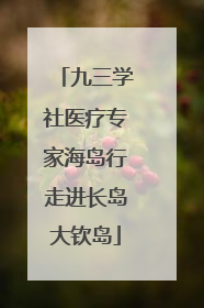 九三学社医疗专家海岛行走进长岛大钦岛