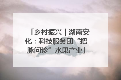 乡村振兴｜湖南安化：科技服务团“把脉问诊”水果产业