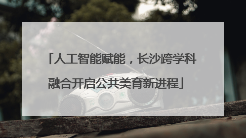 人工智能赋能，长沙跨学科融合开启公共美育新进程
