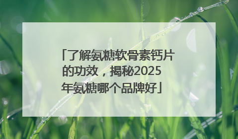 了解氨糖软骨素钙片的功效，揭秘2025年氨糖哪个品牌好