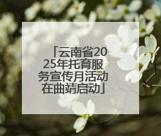 云南省2025年托育服务宣传月活动在曲靖启动