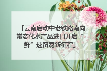 云南启动中老铁路南向常态化水产品进口开启“鲜”速贸易新征程