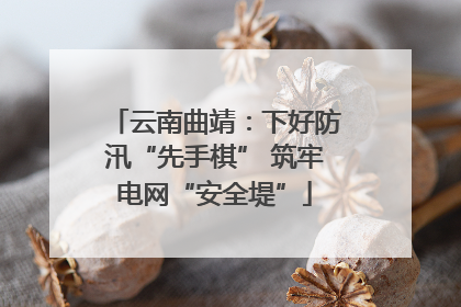 云南曲靖：下好防汛“先手棋” 筑牢电网“安全堤”