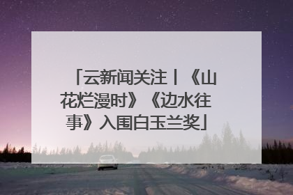 云新闻关注丨《山花烂漫时》《边水往事》入围白玉兰奖
