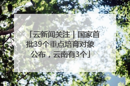 云新闻关注｜国家首批39个重点培育对象公布，云南有3个