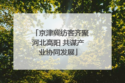 京津冀纺客齐聚河北高阳 共谋产业协同发展