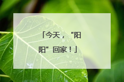 今天，“阳阳”回家！