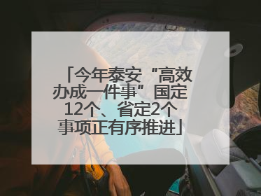今年泰安“高效办成一件事”国定12个、省定2个事项正有序推进
