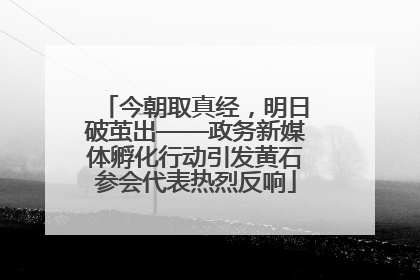 今朝取真经，明日破茧出——政务新媒体孵化行动引发黄石参会代表热烈反响