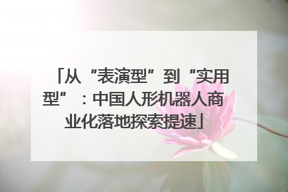 从“表演型”到“实用型”：中国人形机器人商业化落地探索提速
