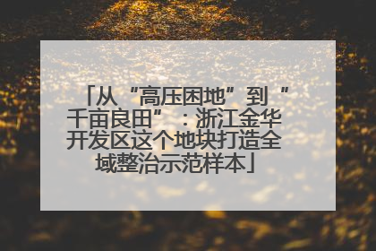 从“高压困地”到“千亩良田”：浙江金华开发区这个地块打造全域整治示范样本