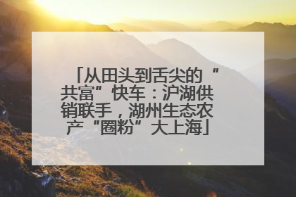 从田头到舌尖的“共富”快车：沪湖供销联手，湖州生态农产“圈粉”大上海