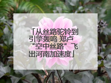 从丝路驼铃到引擎轰鸣 郑卢“空中丝路”飞出河南加速度