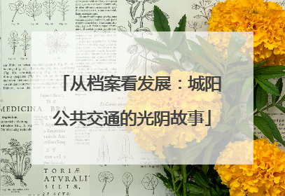 从档案看发展：城阳公共交通的光阴故事