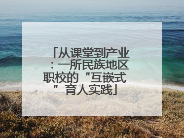 从课堂到产业：一所民族地区职校的“互嵌式”育人实践