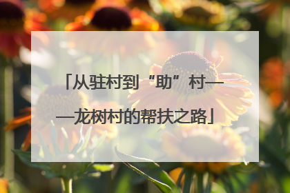 从驻村到“助”村——龙树村的帮扶之路