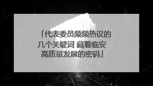 代表委员频频热议的几个关键词 藏着临安高质量发展的密码