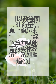 以数绘图，让海量信息“跑起来”——“绿色算力赋能青海实体经济”系列报道①