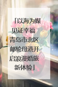 以海为媒见证幸福 青岛市北区邮轮母港开启浪漫婚旅新体验