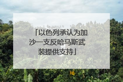 以色列承认为加沙一支反哈马斯武装提供支持