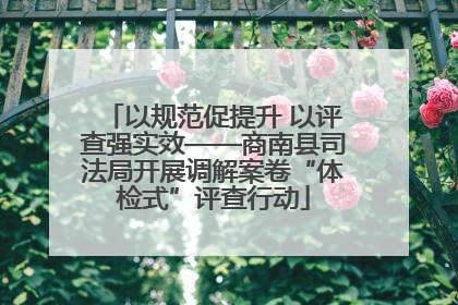 以规范促提升 以评查强实效——商南县司法局开展调解案卷“体检式”评查行动