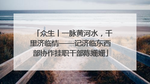 众生丨一脉黄河水，千里济临情——记济临东西部协作挂职干部陈姗姗