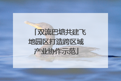 双流巴塘共建飞地园区打造跨区域产业协作示范
