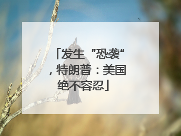 发生“恐袭”，特朗普：美国绝不容忍