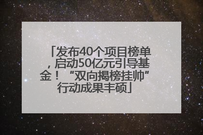 发布40个项目榜单，启动50亿元引导基金！“双向揭榜挂帅”行动成果丰硕