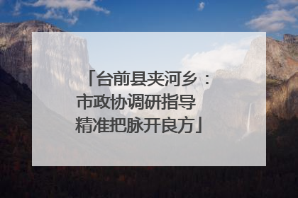 台前县夹河乡：市政协调研指导 精准把脉开良方