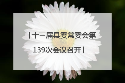 十三届县委常委会第139次会议召开