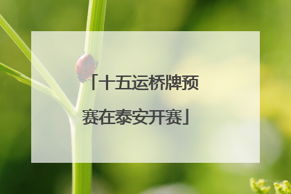 十五运桥牌预赛在泰安开赛