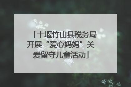 十堰竹山县税务局开展“爱心妈妈”关爱留守儿童活动
