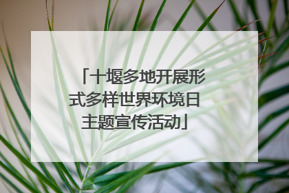 十堰多地开展形式多样世界环境日主题宣传活动