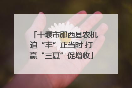 十堰市郧西县农机追“丰”正当时 打赢“三夏”促增收