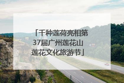 千种莲荷亮相第37届广州莲花山莲花文化旅游节