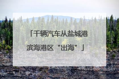 千辆汽车从盐城港滨海港区“出海”
