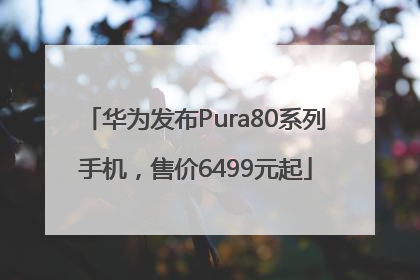 华为发布Pura80系列手机，售价6499元起