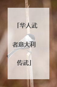 华人武者意大利传武