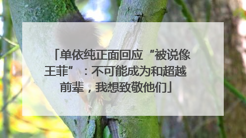 单依纯正面回应“被说像王菲”：不可能成为和超越前辈，我想致敬他们