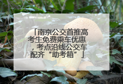 南京公交首推高考生免费乘车优惠，考点沿线公交车配齐“助考箱”