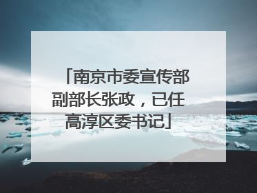 南京市委宣传部副部长张政，已任高淳区委书记